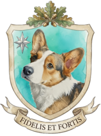 Sir-Flynn